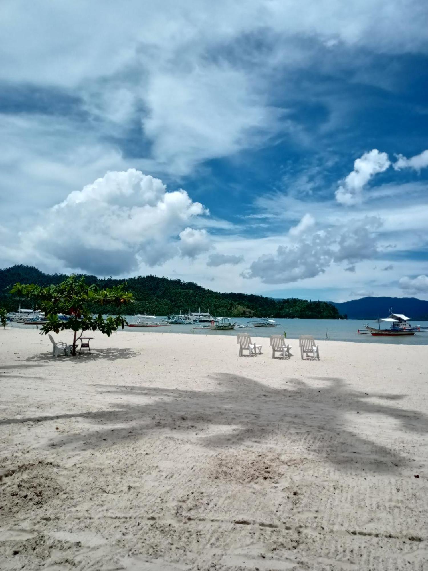 Greenviews Resort & Restaurant Port Barton サン・ヴィチェンテ エクステリア 写真